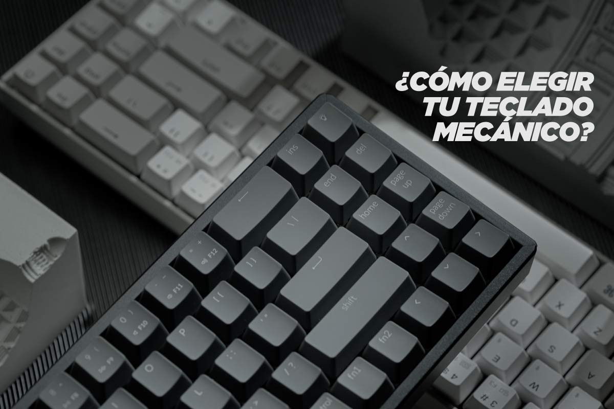 Ingresa a Nuestro Blog